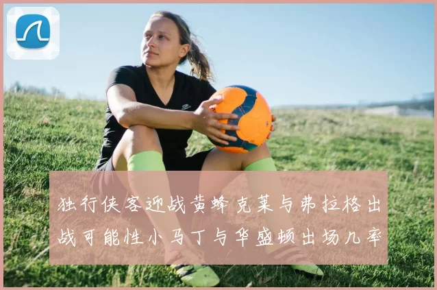 独行侠客迎战黄蜂克莱与弗拉格出战可能性小马丁与华盛顿出场几率高