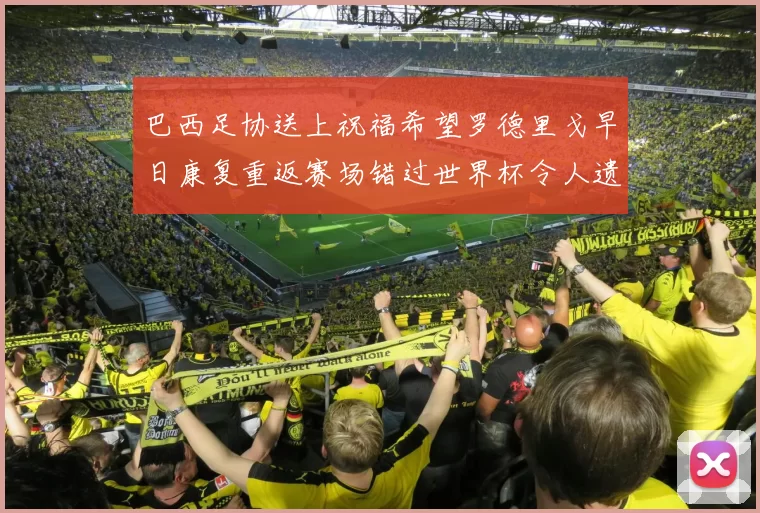 巴西足协送上祝福希望罗德里戈早日康复重返赛场错过世界杯令人遗憾